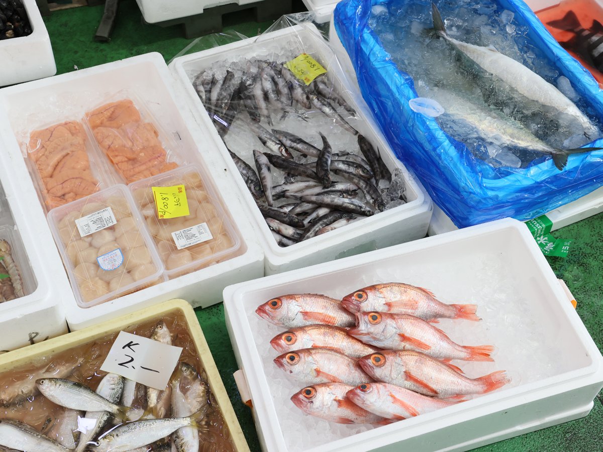 🛍️ 야나기바시 연합 시장 (야나기바시렌고이치바) 이미지 3